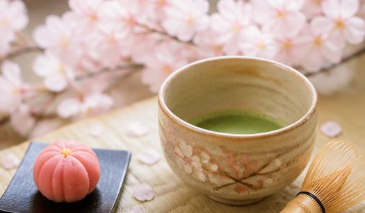桜と茶道