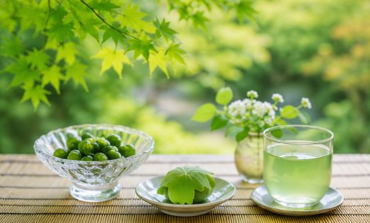 新緑が美しい五月の和ごころ